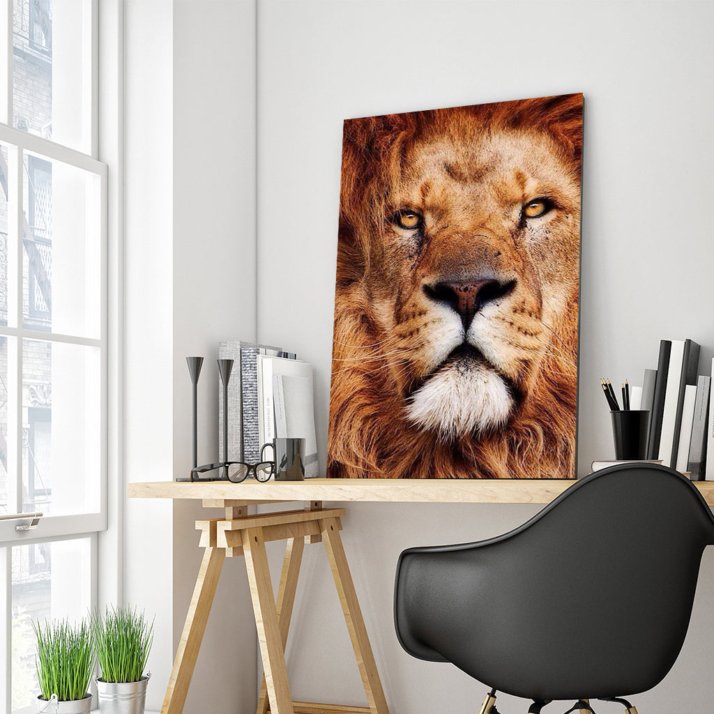 Full Diamond Painting kit - Lion head
