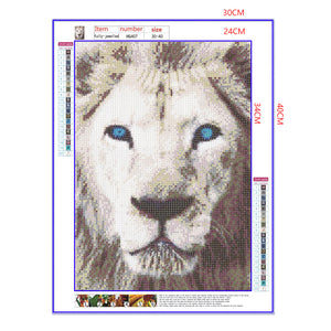 Full Diamond Painting kit - Lion head