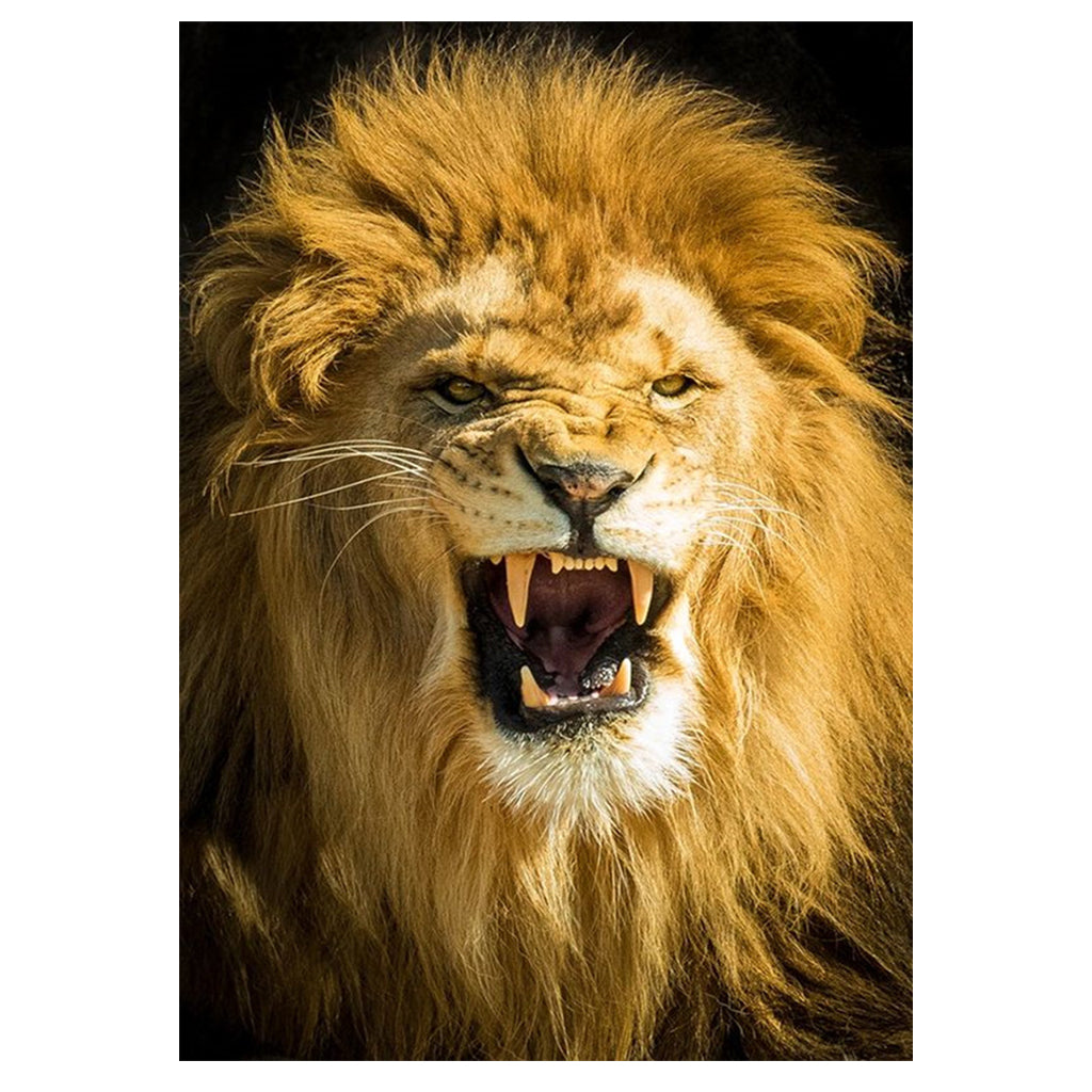 Full Diamond Painting kit - Lion head