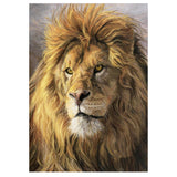 Full Diamond Painting kit - Lion head