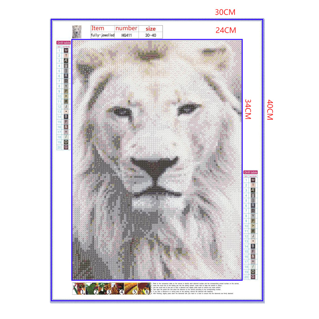 Full Diamond Painting kit - Lion head