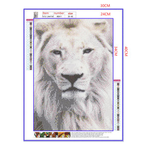 Full Diamond Painting kit - Lion head