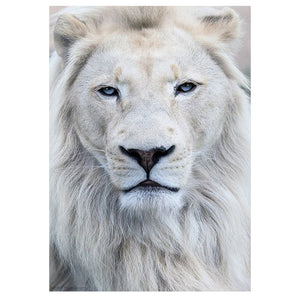 Full Diamond Painting kit - Lion head