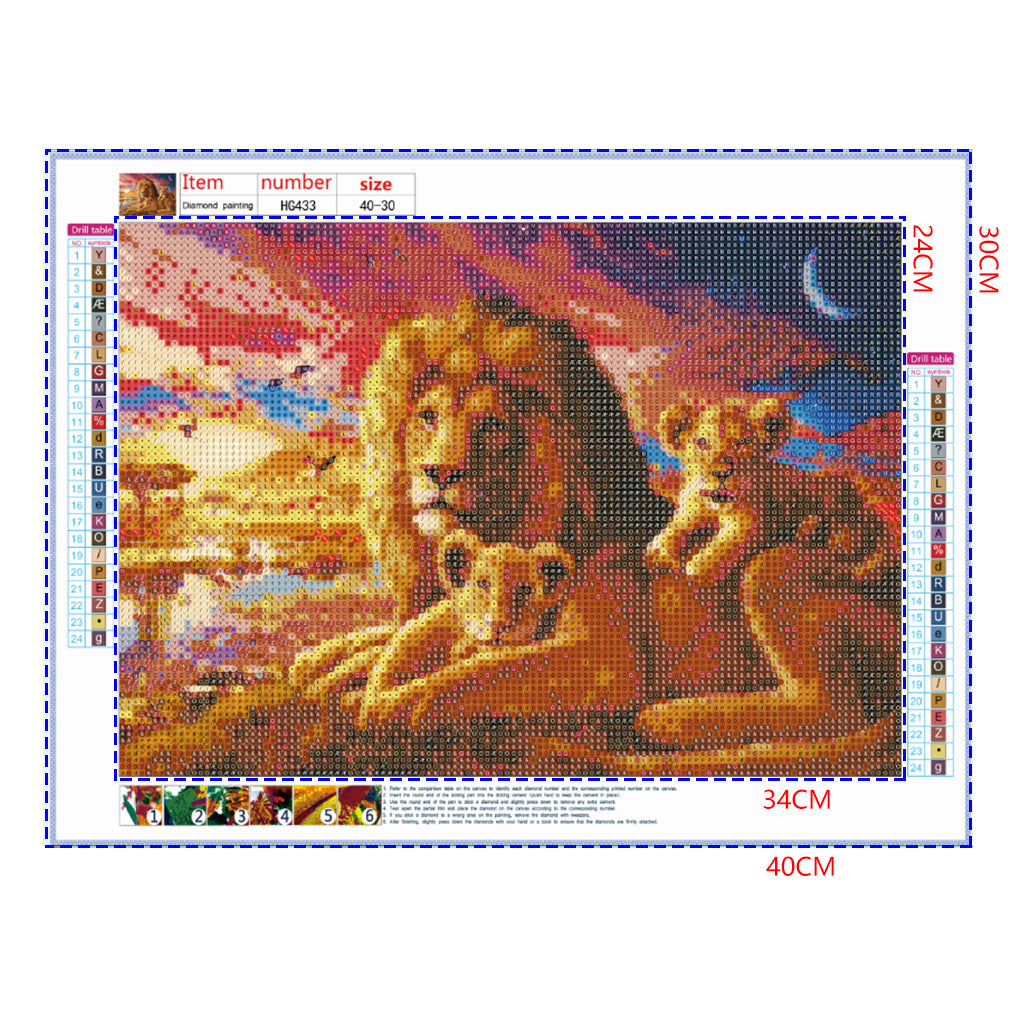 Full Diamond Painting kit - Lion family