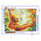 Full Diamond Painting kit - Cute orangutan