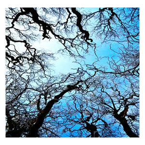 Full Diamond Painting kit - Tree in autumn