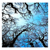 Full Diamond Painting kit - Tree in autumn