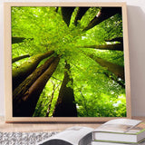 Full Diamond Painting kit - Tree in summer