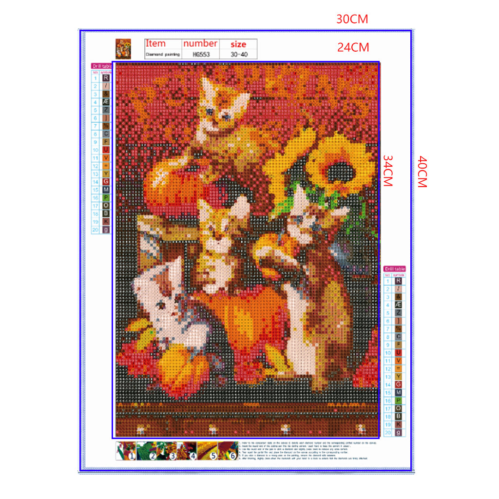 Full Diamond Painting kit - Pumpkins and cats