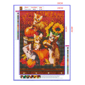 Full Diamond Painting kit - Pumpkins and cats