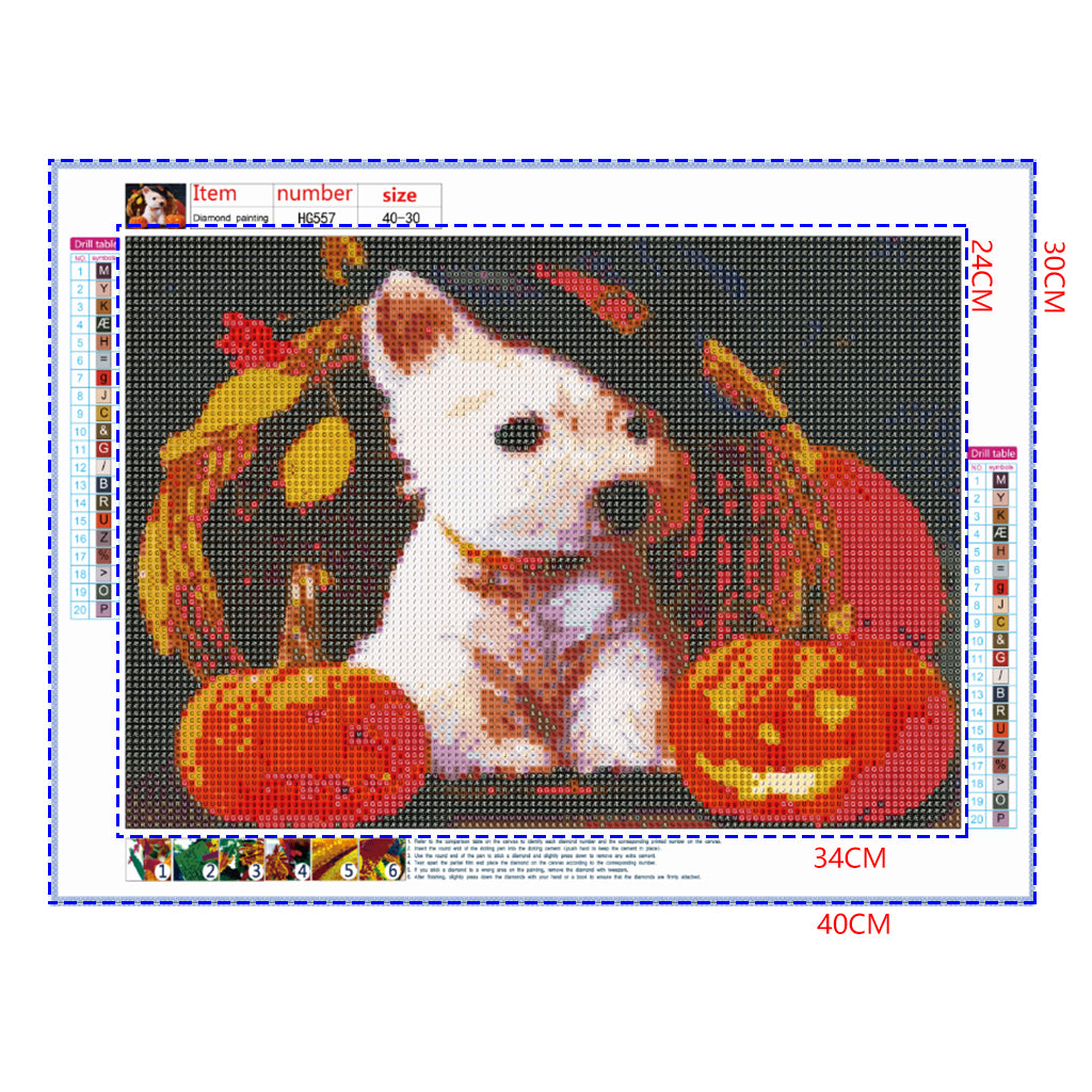 Full Diamond Painting kit - Jack-o-lantern and puppy