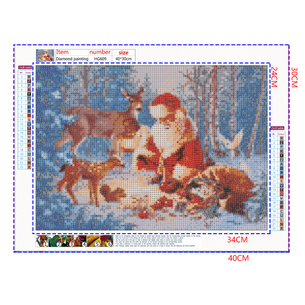 Full Diamond Painting kit - Santa and his animals