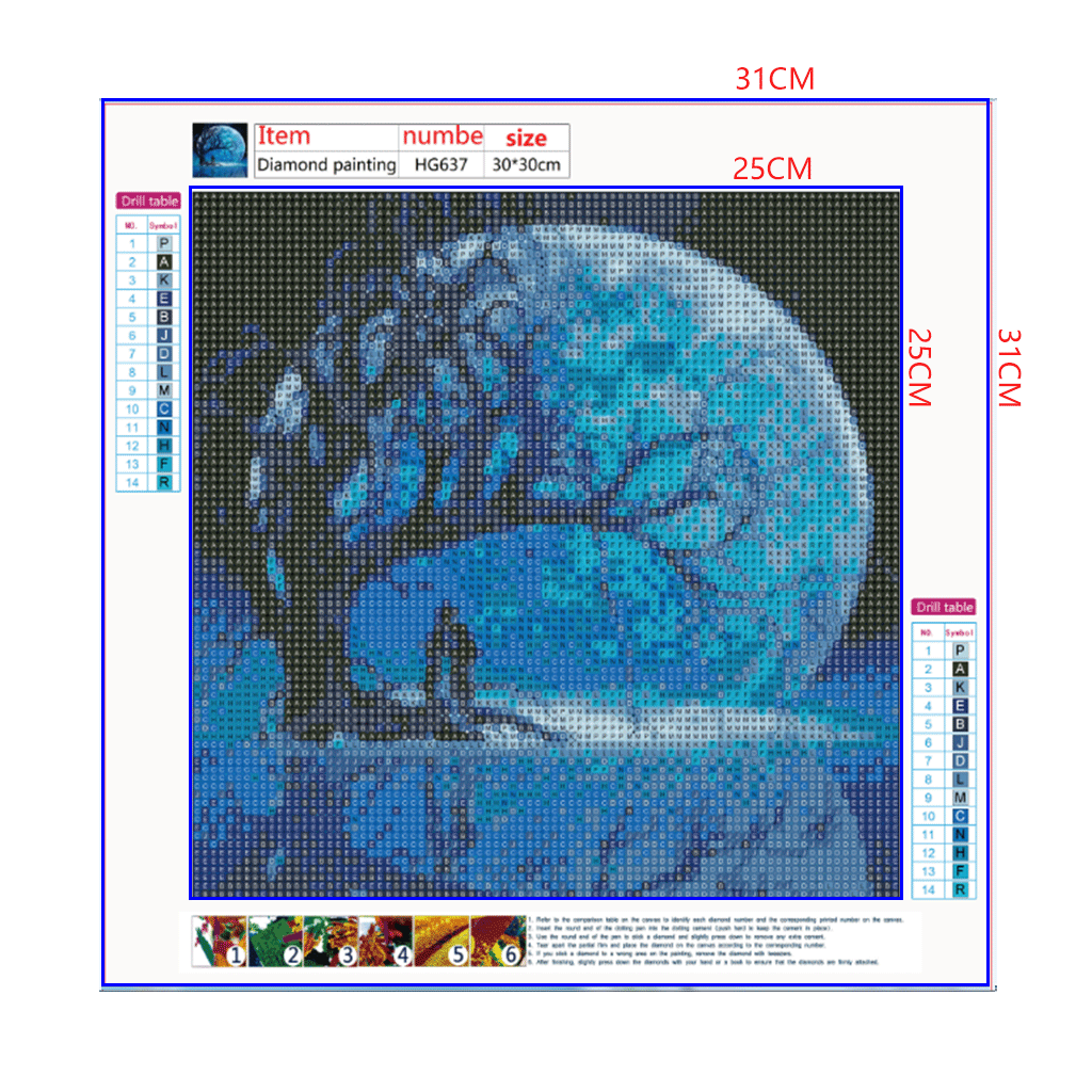Full Diamond Painting kit - Big moon on the lake