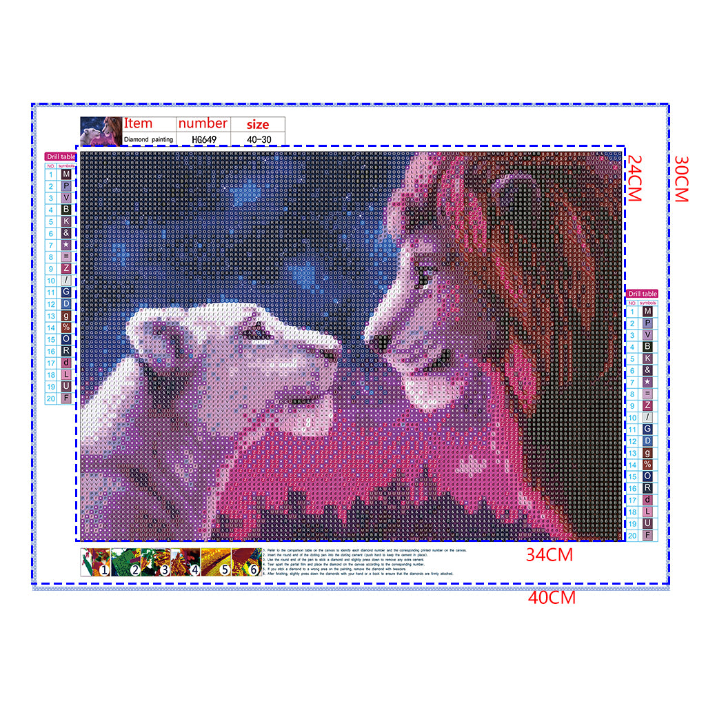 Full Diamond Painting kit - The lion king