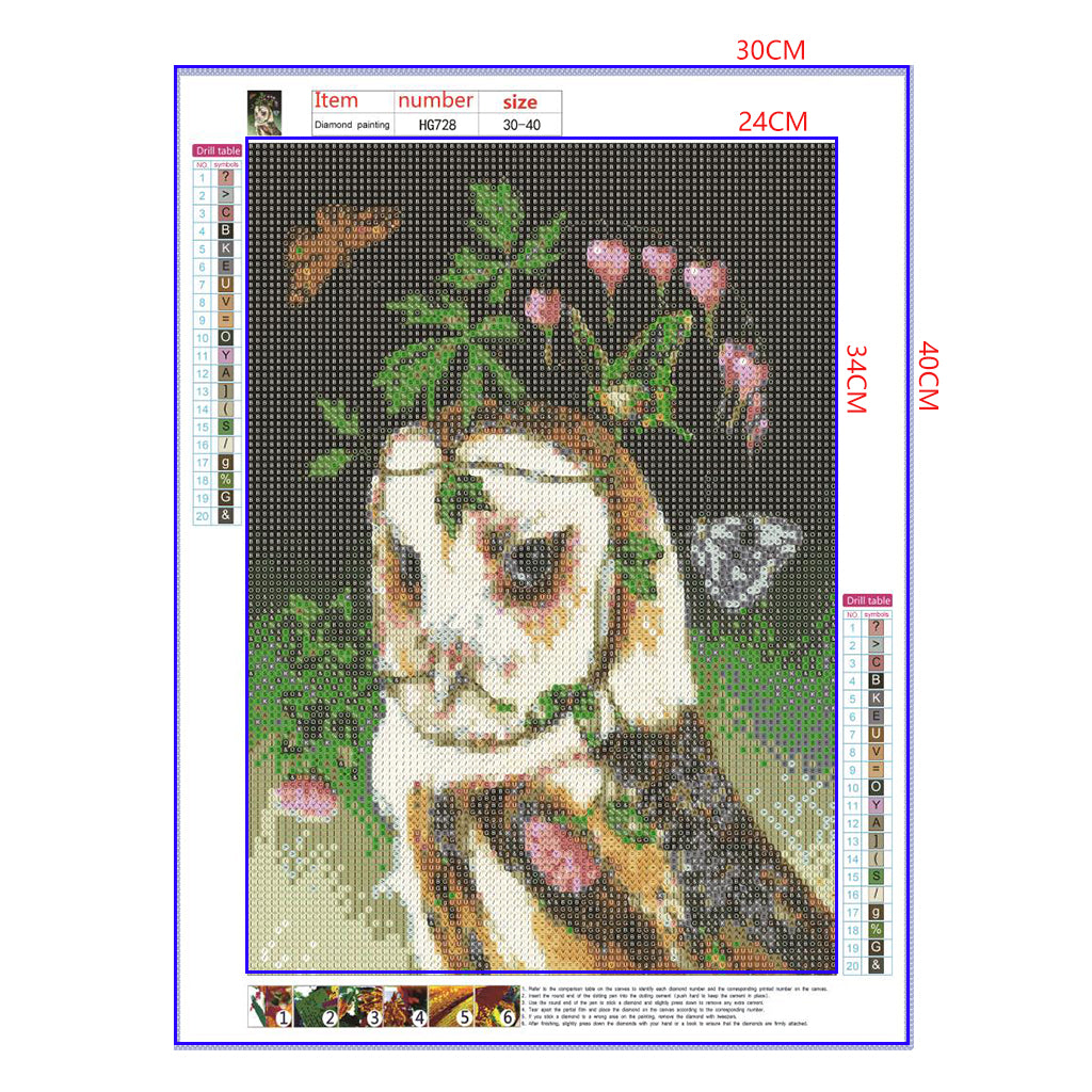 Full Diamond Painting kit - Owl and butterfly