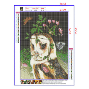Full Diamond Painting kit - Owl and butterfly