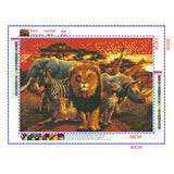 Full Diamond Painting kit - African animals