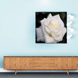 Full Diamond Painting kit - White peony