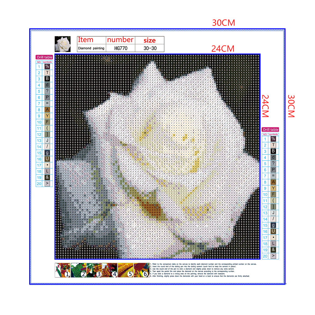 Full Diamond Painting kit - White peony