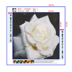 Full Diamond Painting kit - White peony