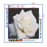Full Diamond Painting kit - White peony