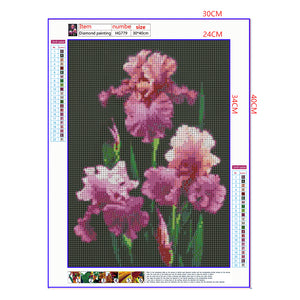 Full Diamond Painting kit - Iris