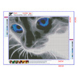 Full Diamond Painting kit - Cat's blue eyes