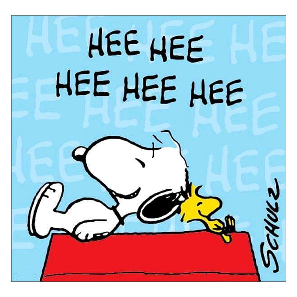 Full Diamond Painting kit - Dog Snoopy