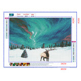 Full Diamond Painting kit - Aurora on Christmas
