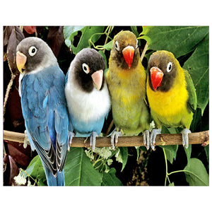 Full Diamond Painting kit - Parrots