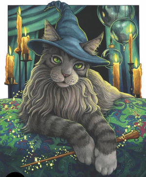 Full Diamond Painting kit - Magic cat