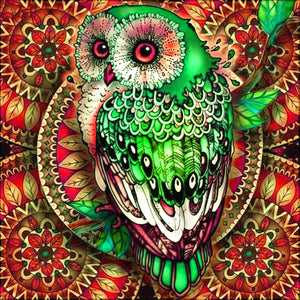 Full Diamond Painting kit - Owl