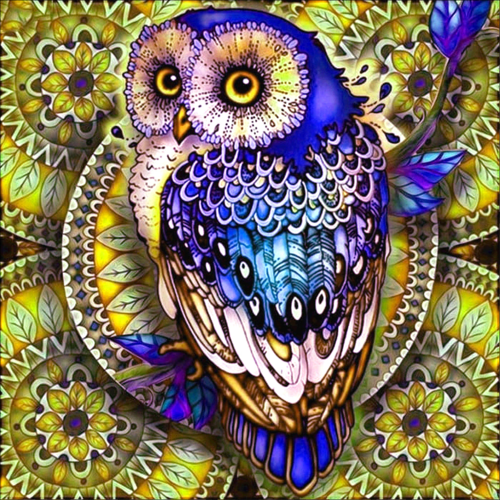 Full Diamond Painting kit - Owl