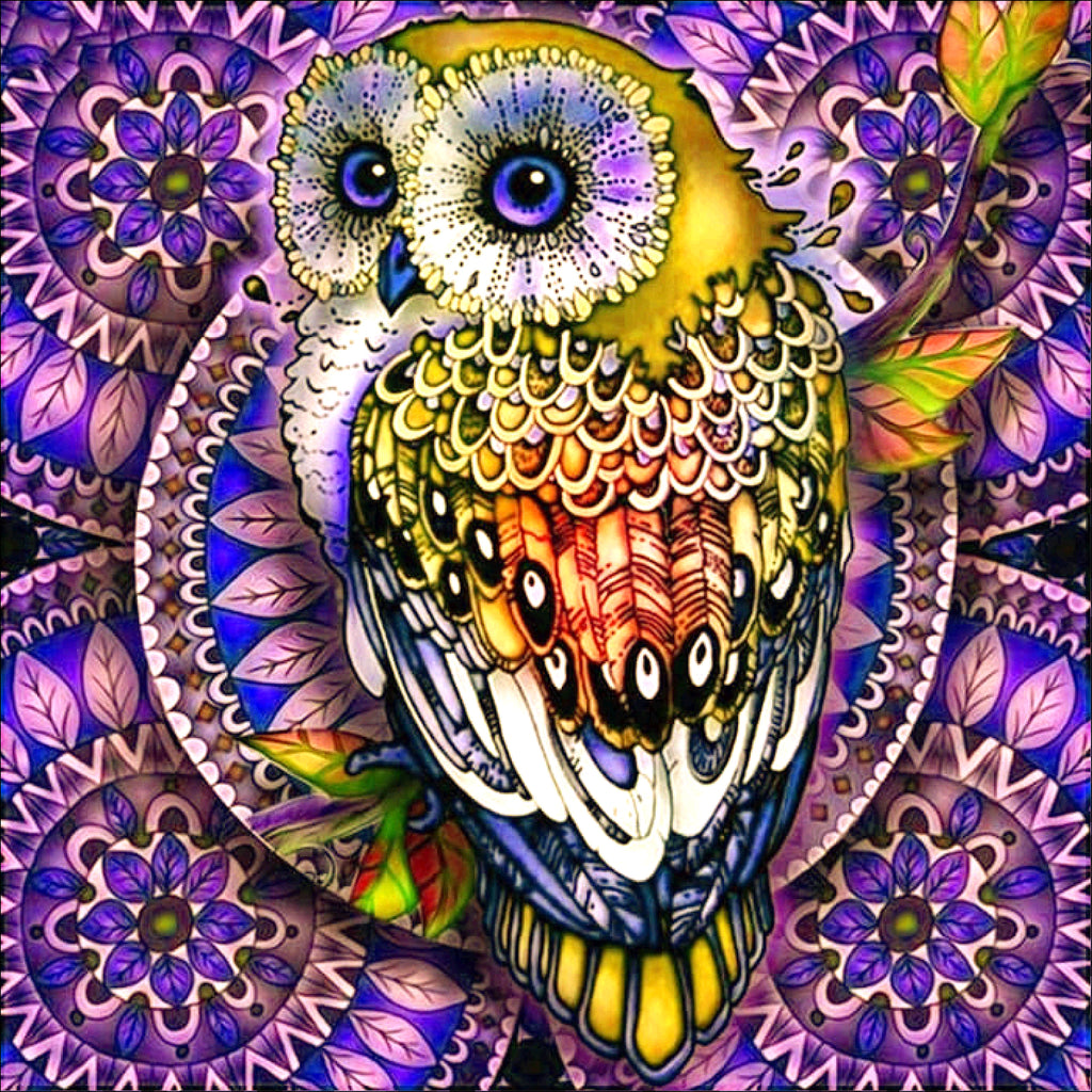 Full Diamond Painting kit - Owl