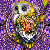 Full Diamond Painting kit - Owl