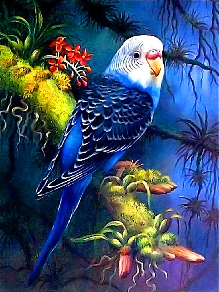 Full Diamond Painting kit - Parrot
