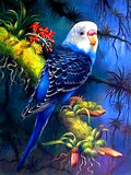 Full Diamond Painting kit - Parrot