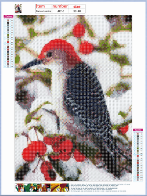 Full Diamond Painting kit - Hummingbird