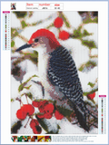 Full Diamond Painting kit - Hummingbird