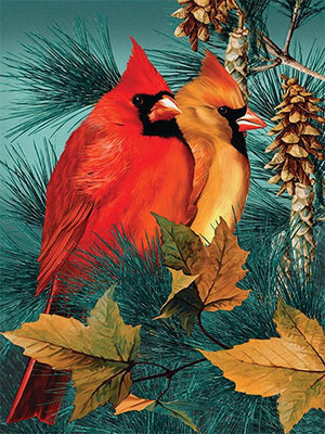 Full Diamond Painting kit - Cardinals