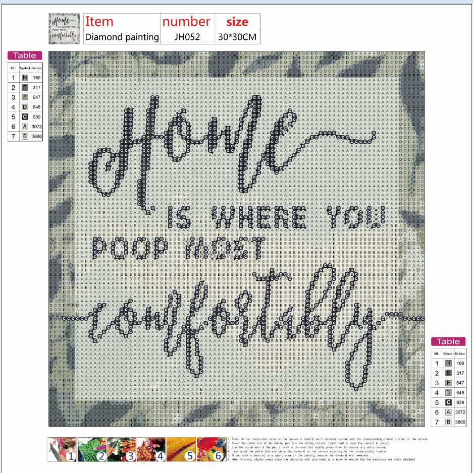 Full Diamond Painting kit - Home is where you poop most comfortably