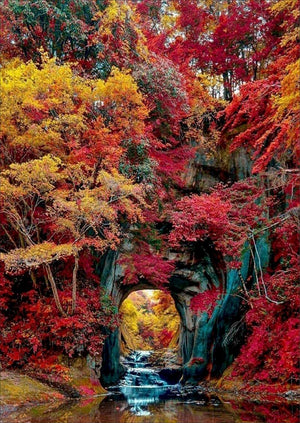 Full Diamond Painting kit - Late autumn scenery