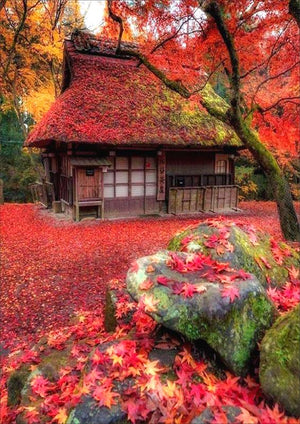 Full Diamond Painting kit - Beautiful autumn scenery