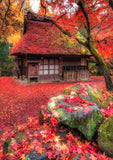 Full Diamond Painting kit - Beautiful autumn scenery