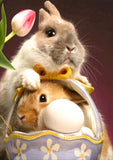 Full Diamond Painting kit - Cute dutch rabbit