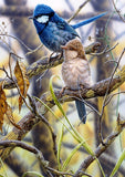 Full Diamond Painting kit - Cute magpies