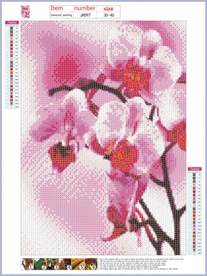 Full Diamond Painting kit - Pink dendrobium flower