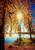 Full Diamond Painting kit - Autumn lake view