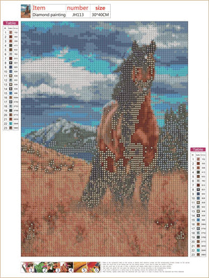 Full Diamond Painting kit - Horse