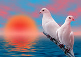 Full Diamond Painting kit - Doves
